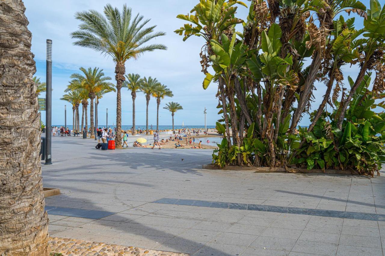 Casa Terra: Apartment 50 Meters From The Beach Torrevieja Exteriér fotografie